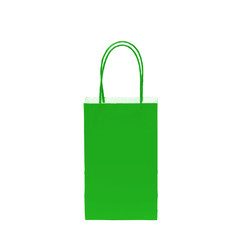 12CT SOLID GREEN KRAFT BAG 