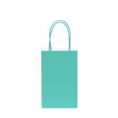 12CT SOLID MINT KRAFT BAG 
